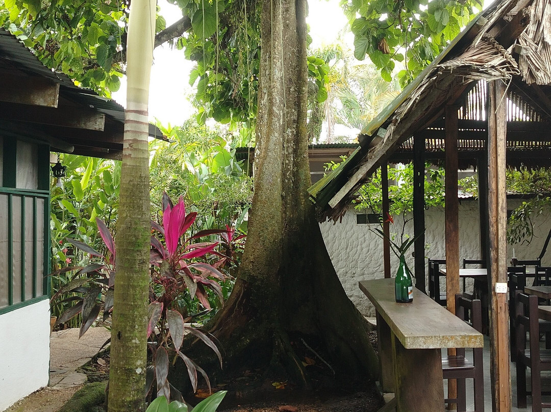 Hotel Malokamazonas主图