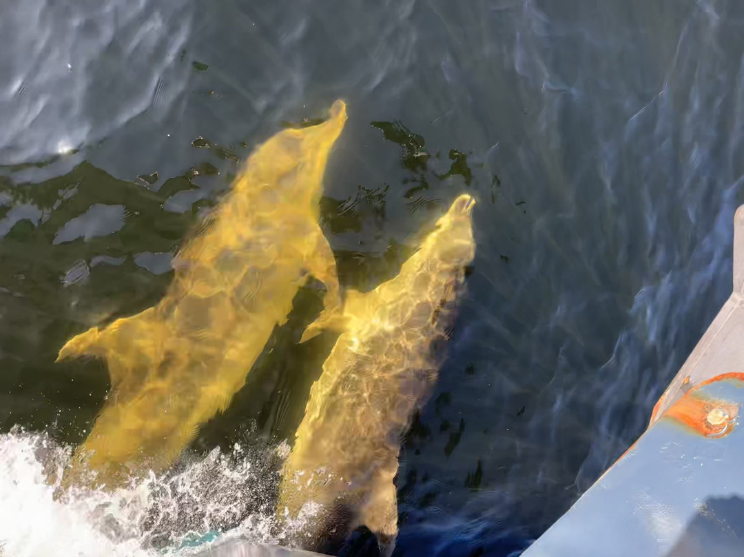 Fiordland Expeditions - Doubtful Sound Overnight Cruises & Multi Day Charters-马纳普里必去景点