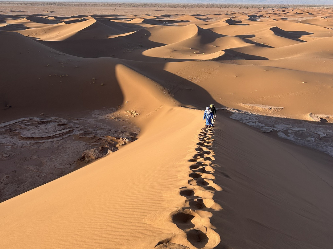 Desert Maroc Tours - Day Tours-扎古拉必去景点