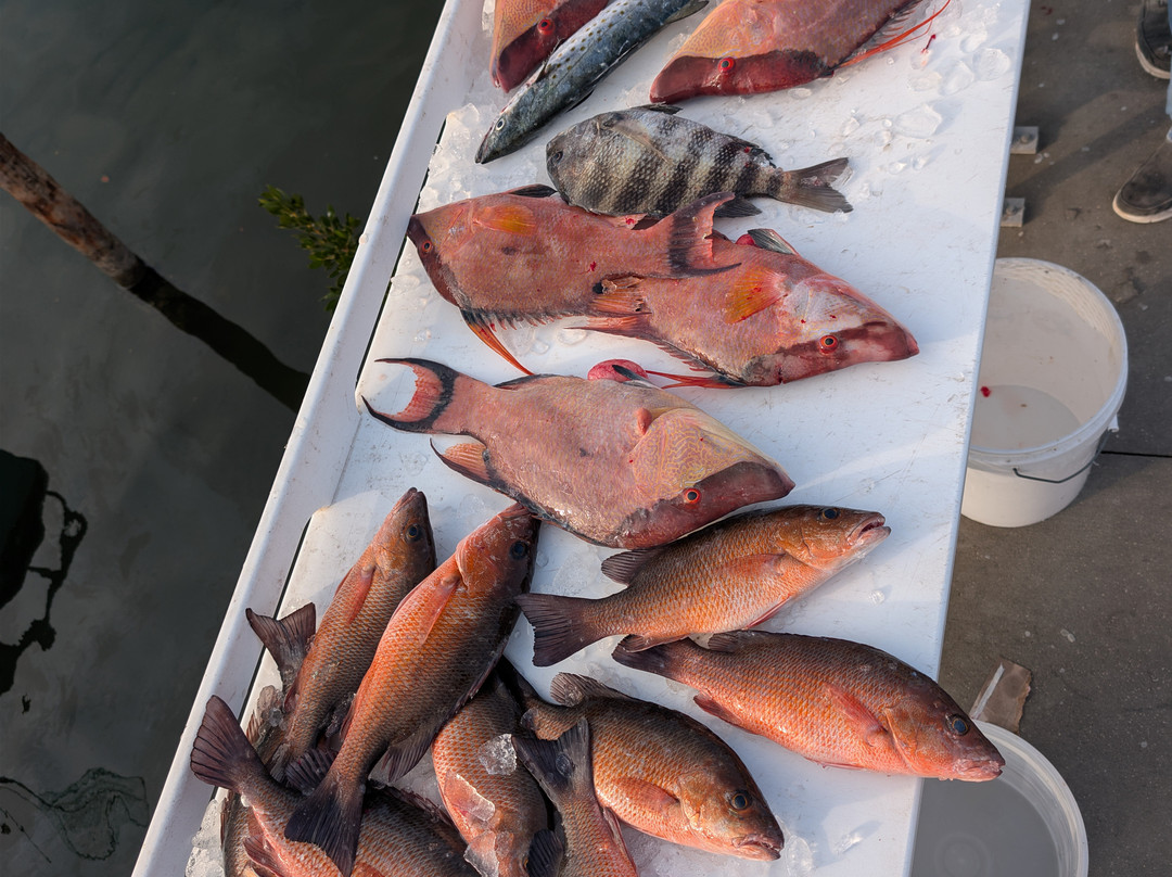 Thunder Party Boat-Hernando Beach必去景点