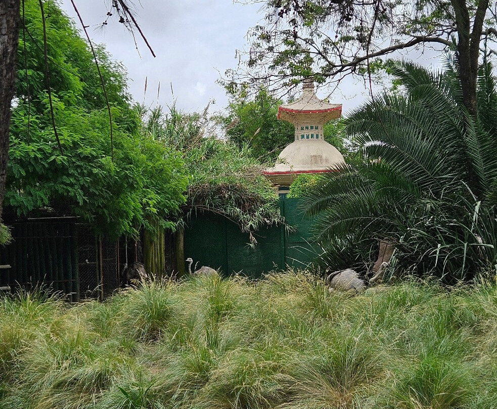 Eco Parque-布宜诺斯艾利斯必去景点