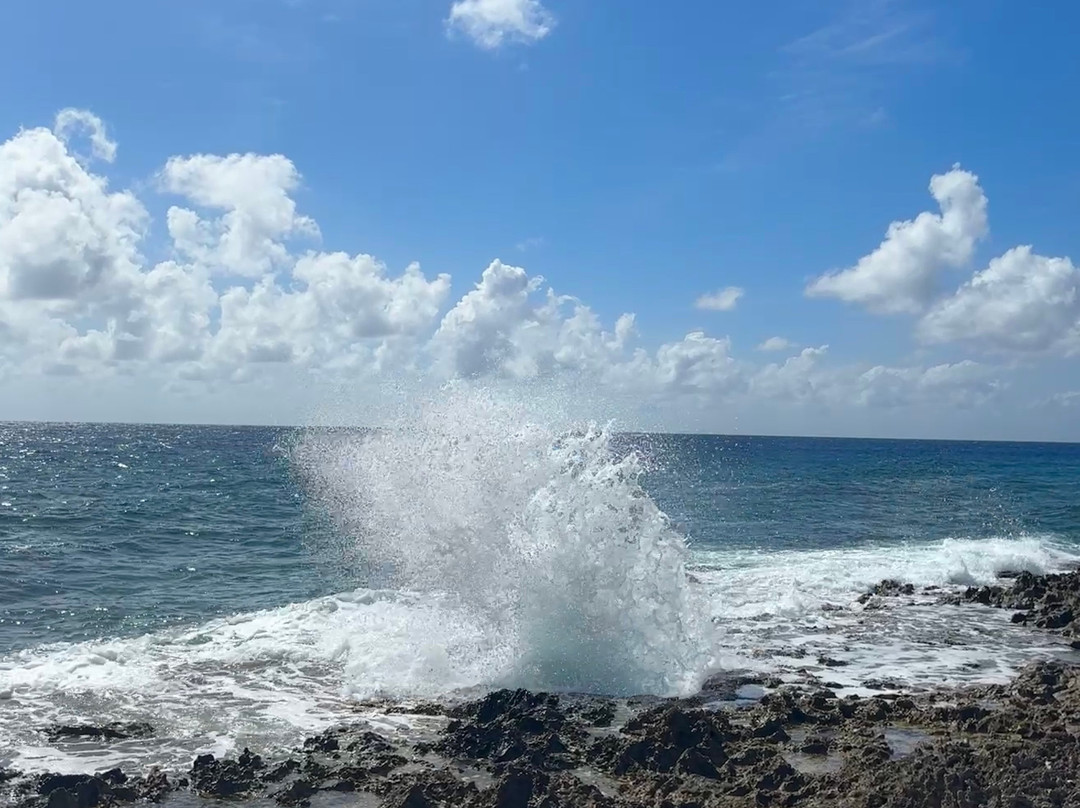Blow Holes-大开曼岛必去景点
