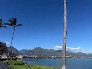 毛伊岛海滨酒店-泳池