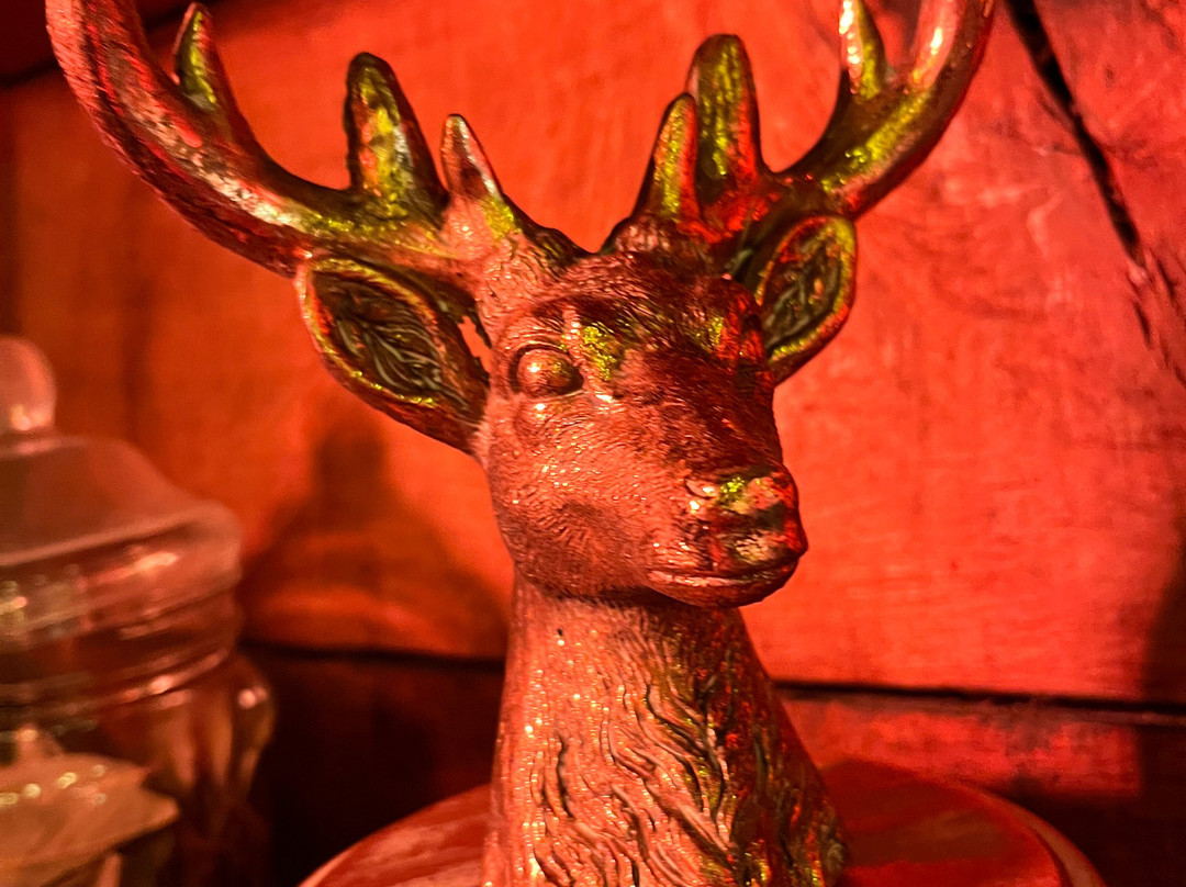 Audley End Miniature Railway-Saffron Walden必去景点