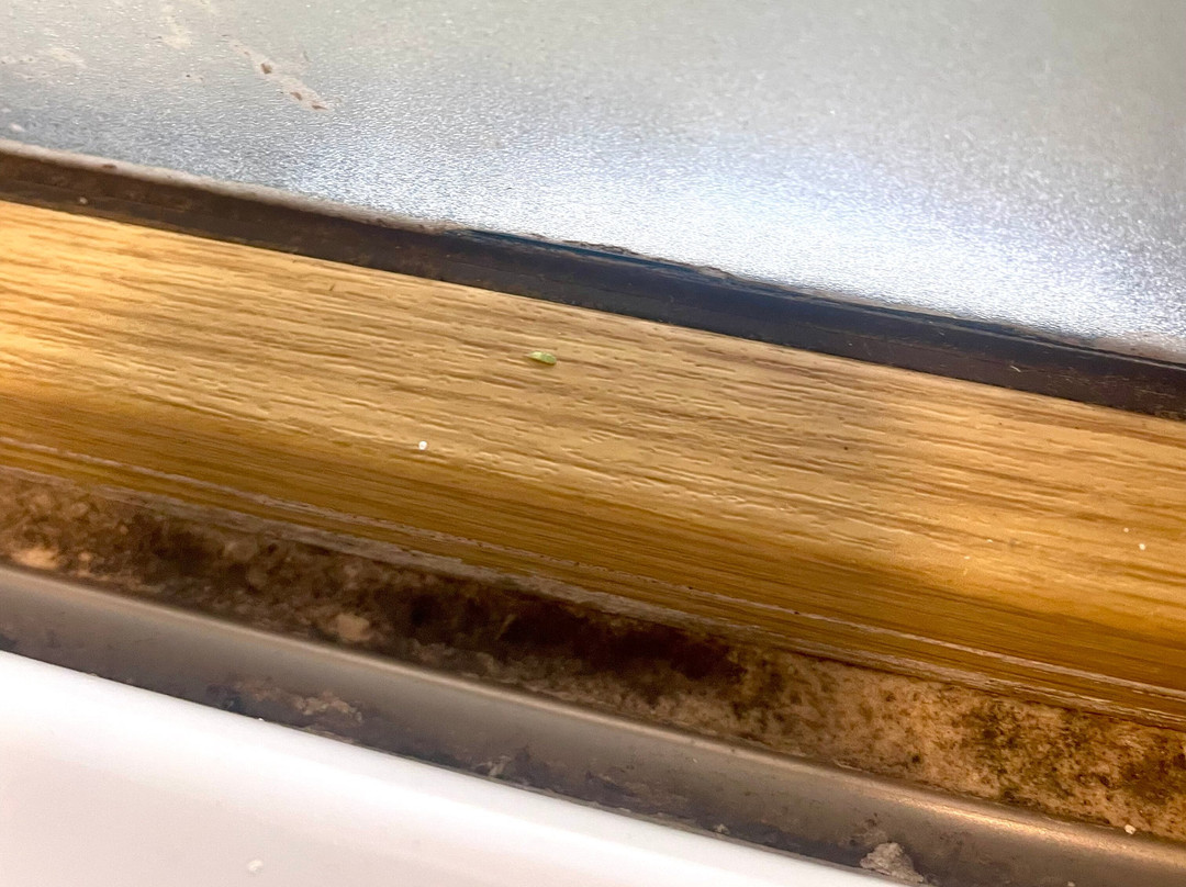 La Reserva Virgin Lodge主图