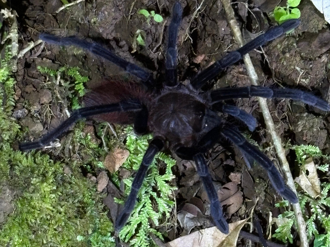 Santa Lucia Falls-乌维塔必去景点