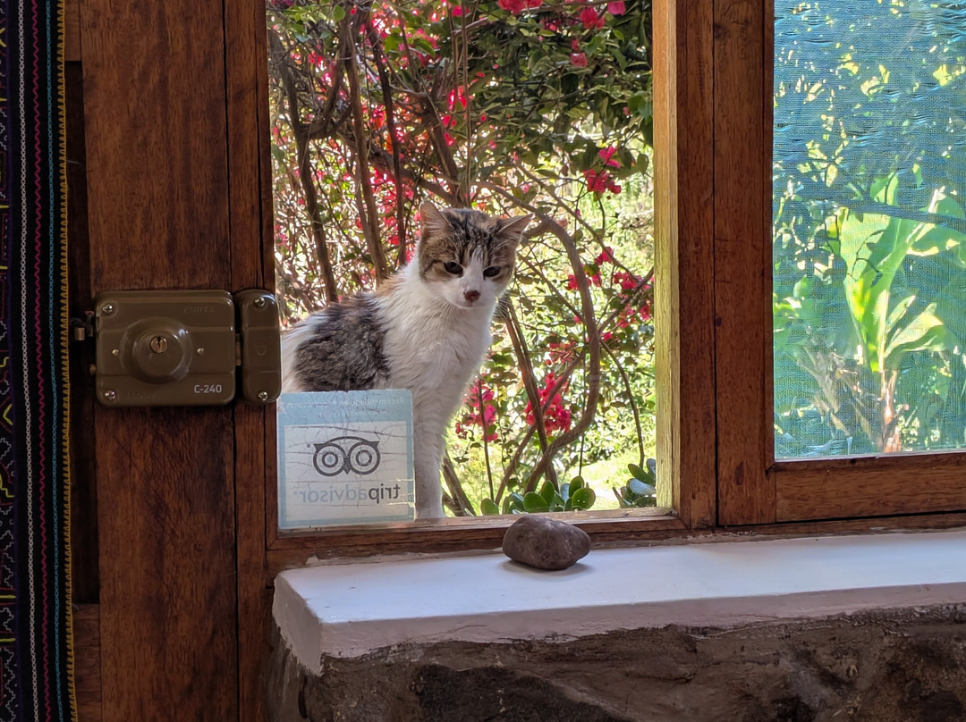 Andean Spirit Lodge主图