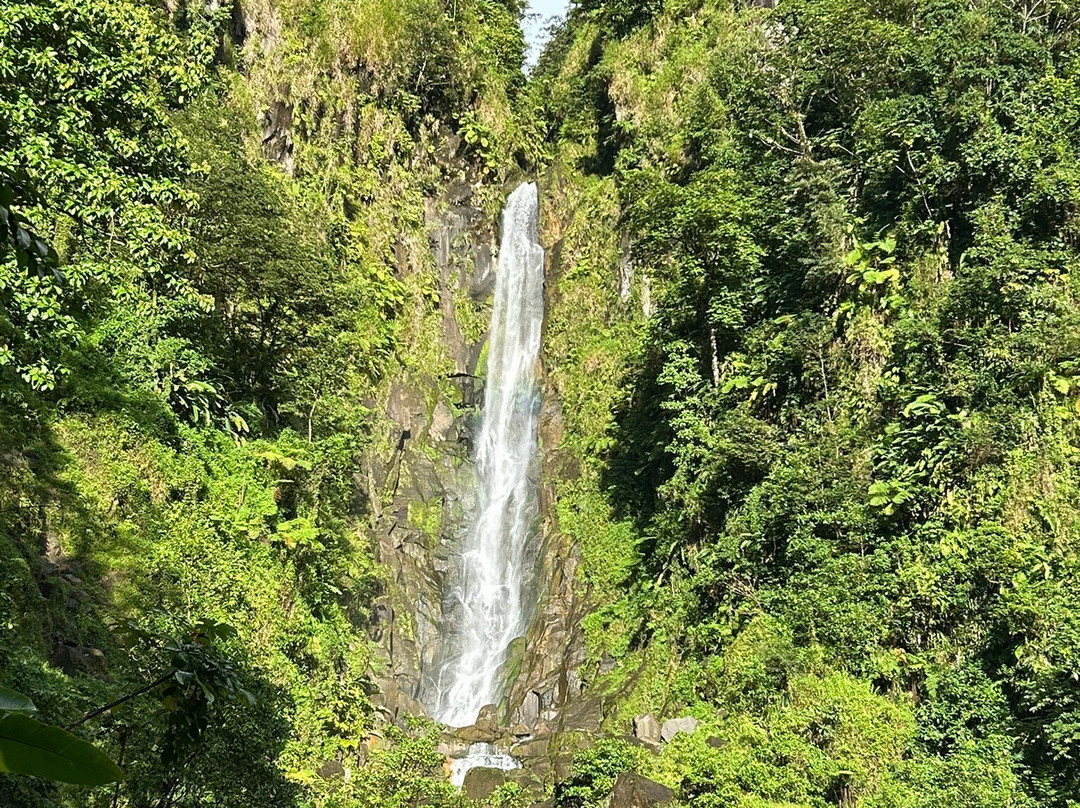 Waitukubuli Adventure Tour Co.-罗索必去景点