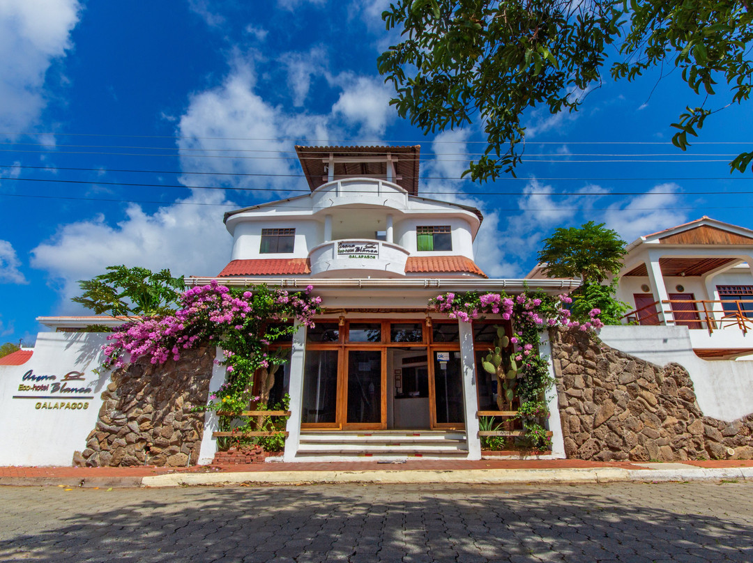 The Eco Hotel Arena Blanca主图