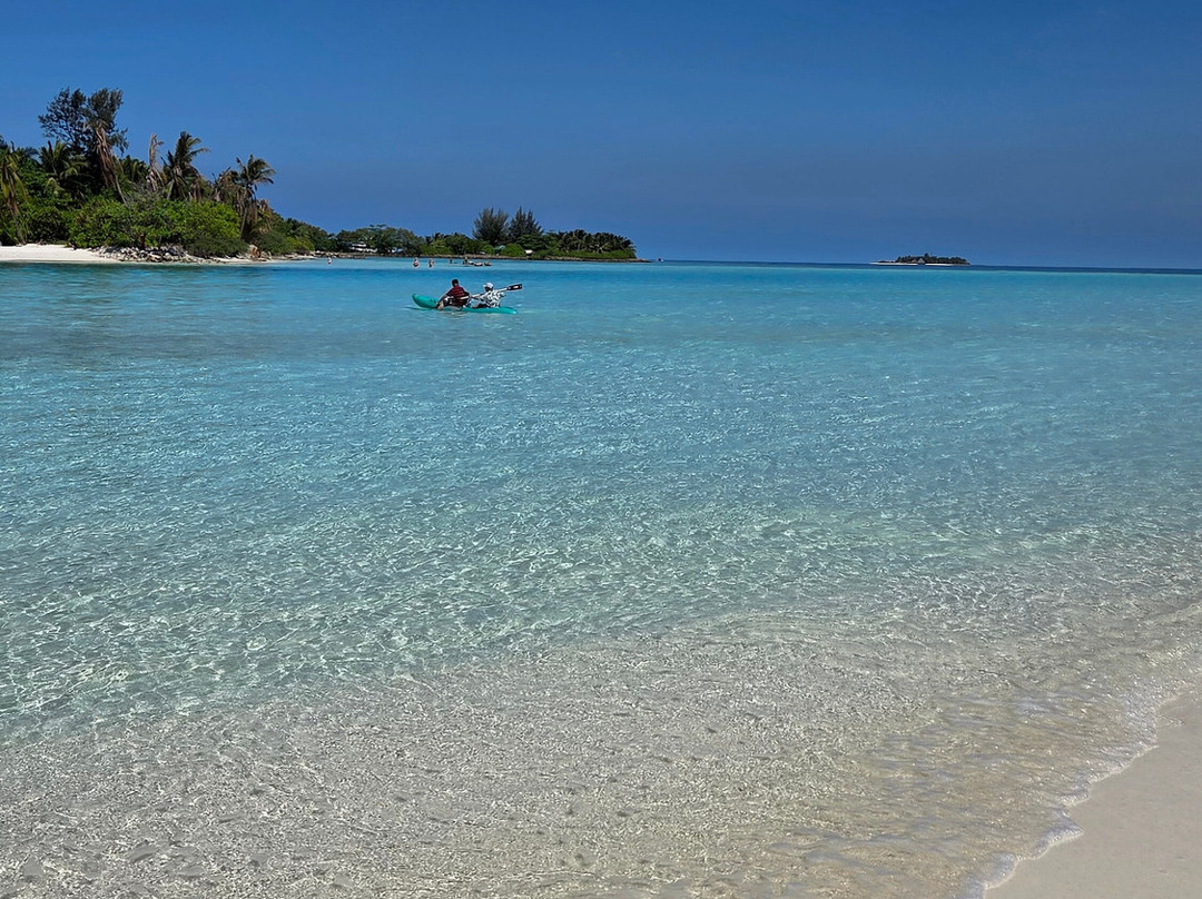 Papa Fish Excursions-乌库拉斯必去景点