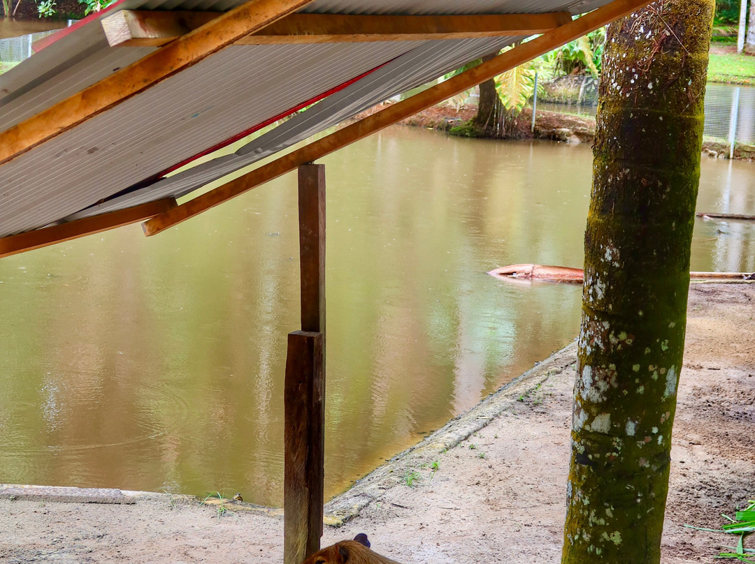 Amazon Rescue Center-伊基托斯必去景点