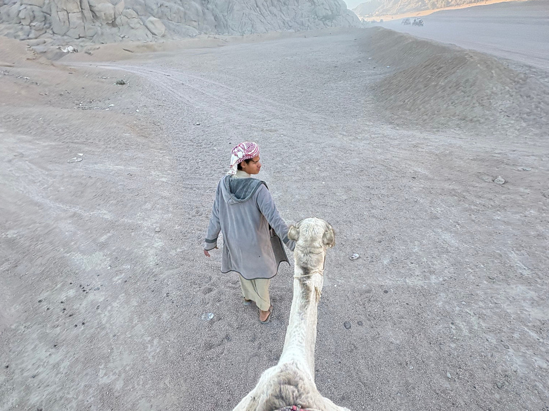 Bibo Viaggi-沙姆沙伊赫必去景点