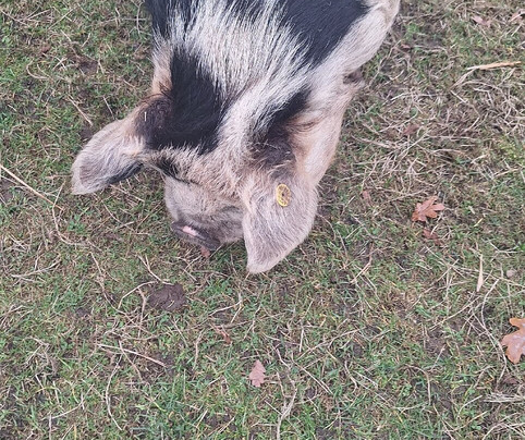 Het Land van Kempers-Geesteren必去景点