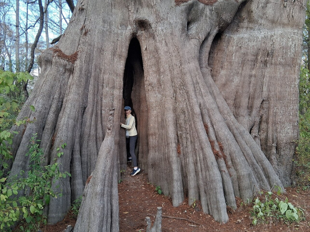 Cat Island National Wildlife Refuge-Saint Francisville必去景点