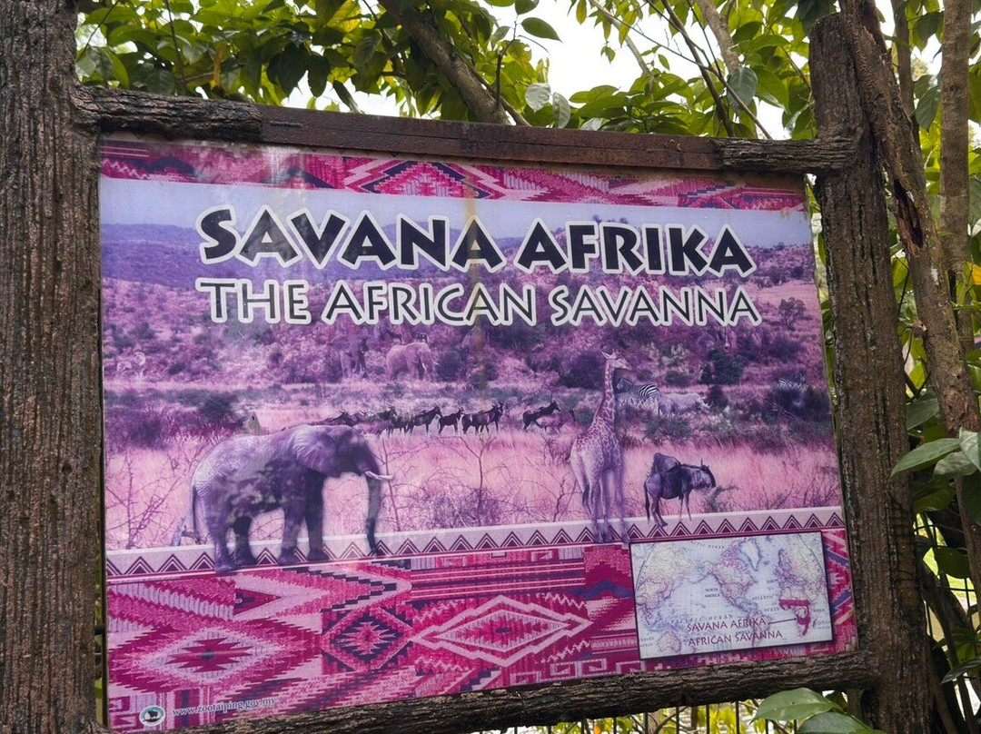 Zoo Taiping & Night Safari-太平必去景点