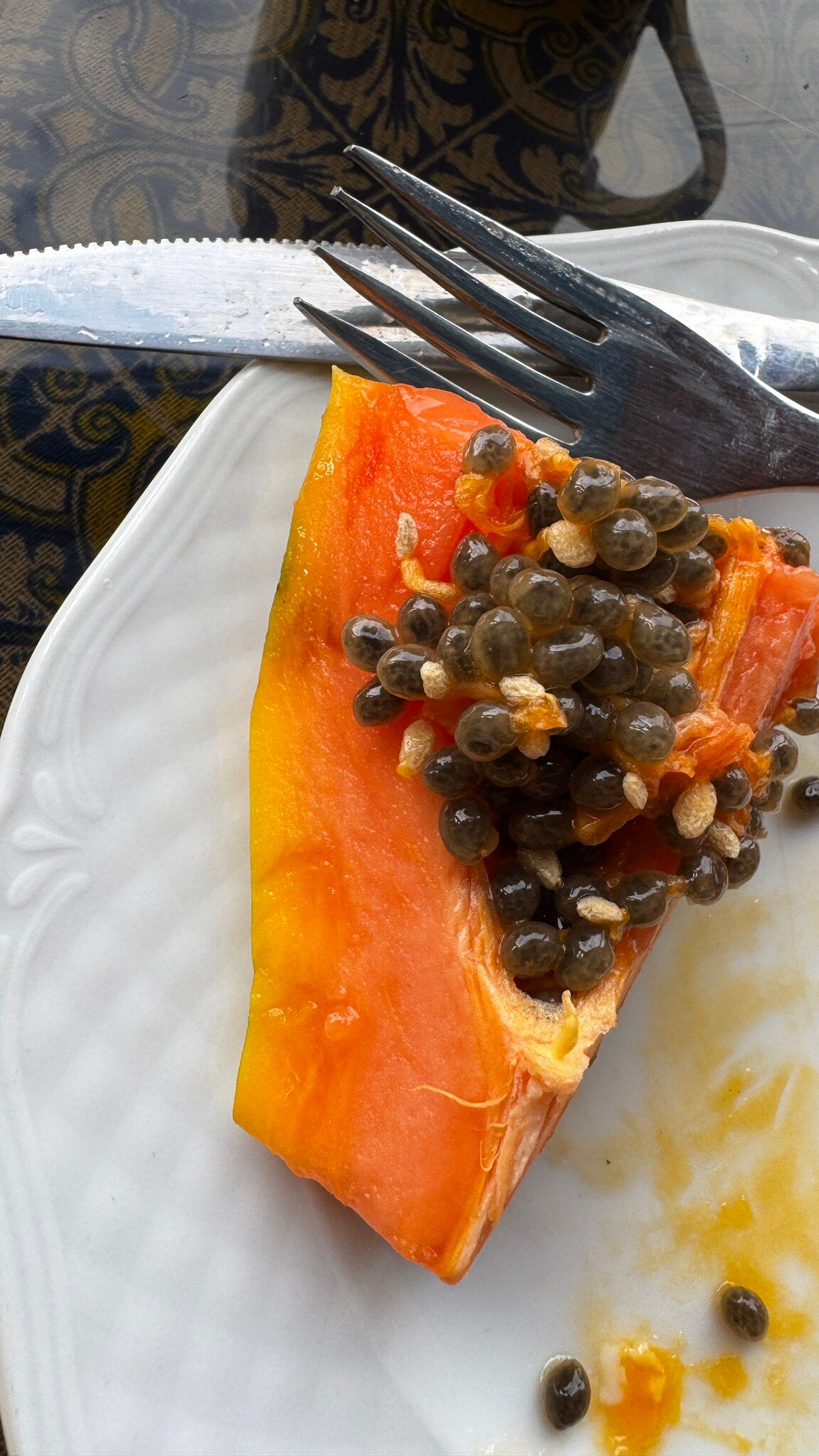 Solar Windelo-官方