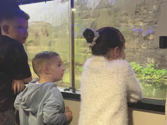 Boatel Party Cruises-乔利必去景点