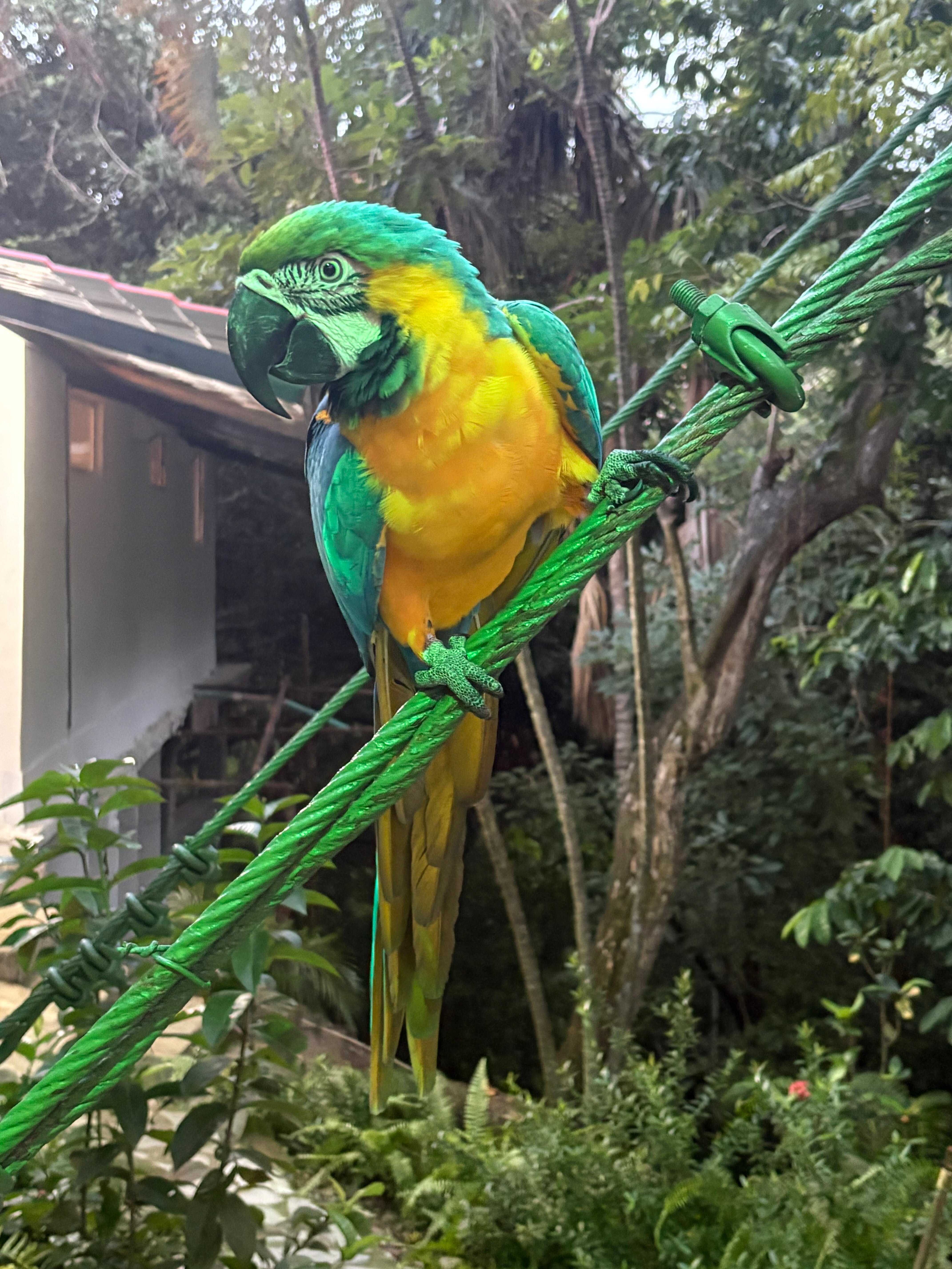 Villa Maria Tayrona, Jungle and Sea Experience-官方