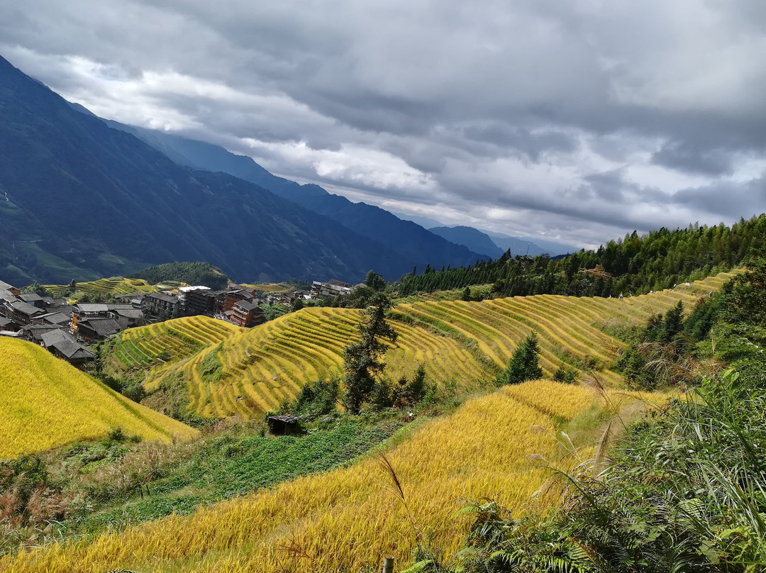 Guilin PrivateTours-桂林市必去景点