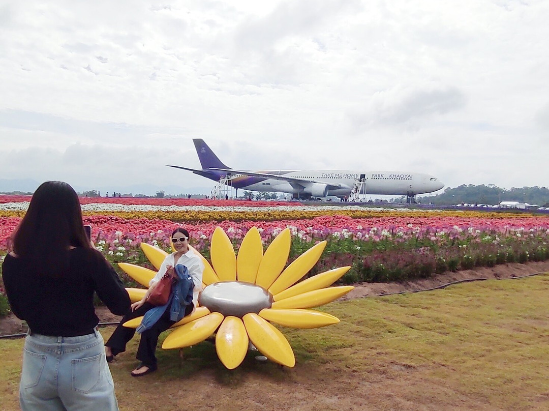 Peter Bangkok Taxi-曼谷必去景点