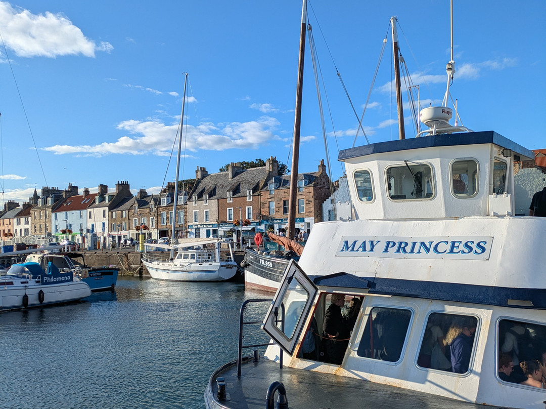 Isle of May National Nature Reserve-Anstruther必去景点