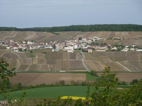 Champagne Dominique Grellet主图