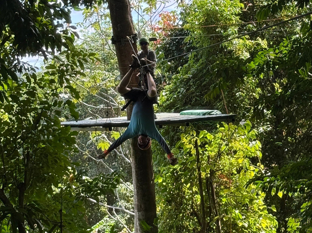 Chiclets Zipline-哈科必去景点