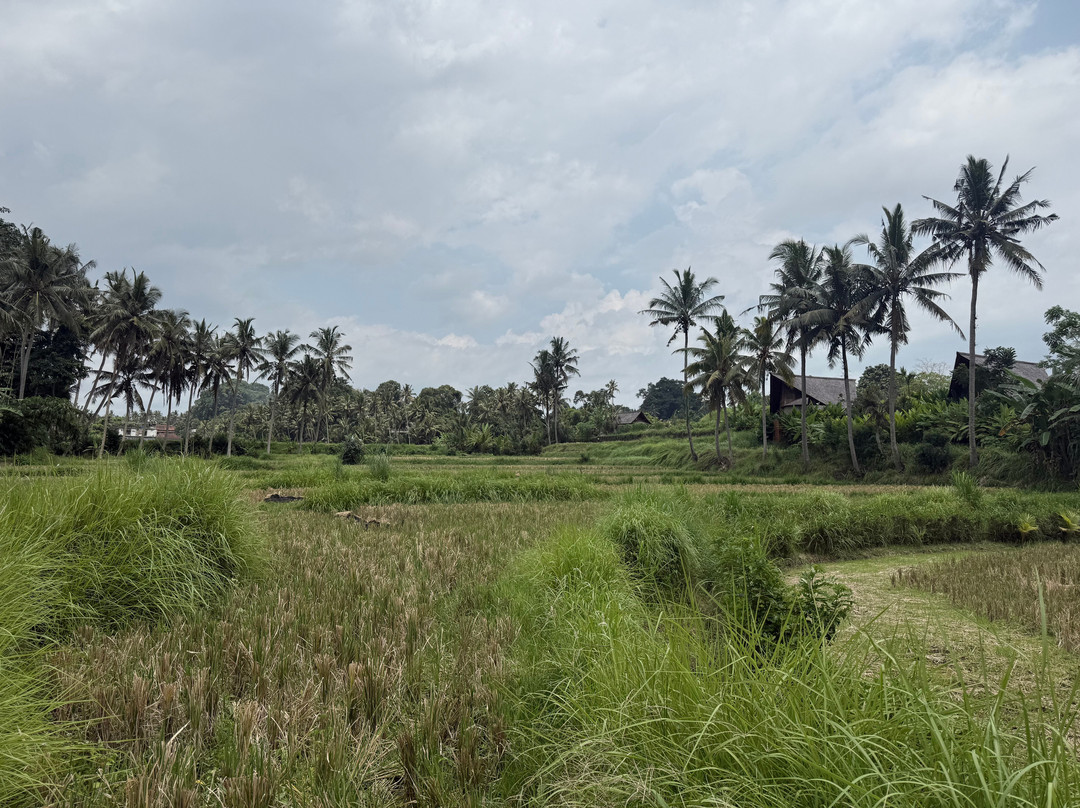 The Pulu Villas by GenuineHost