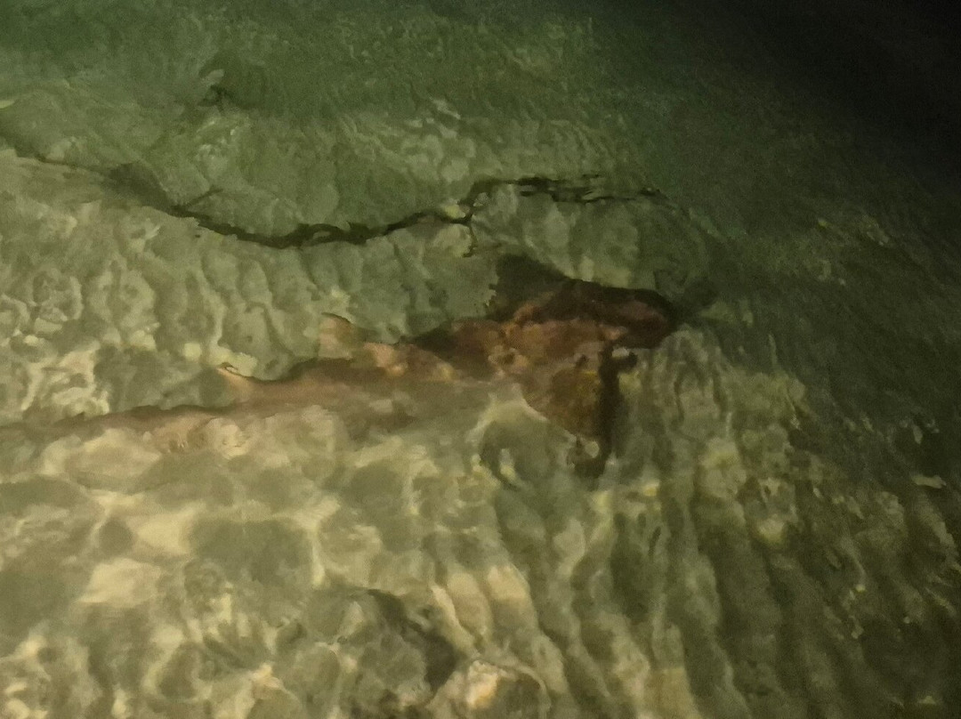 DivePoint Rannalhi-绚丽岛必去景点