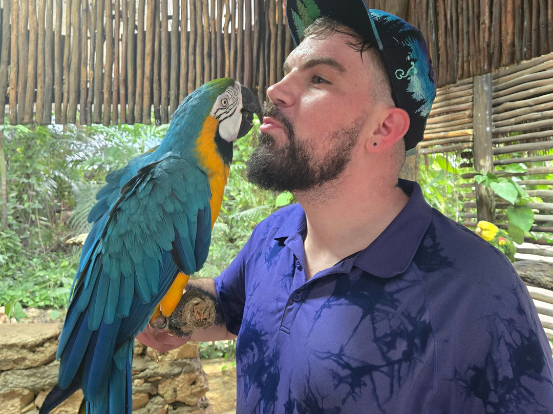 Croco Cun Zoo-从莫雷洛斯港必去景点