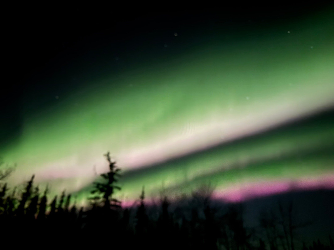 Alaska Safari Sultan Tour-费尔班克斯必去景点