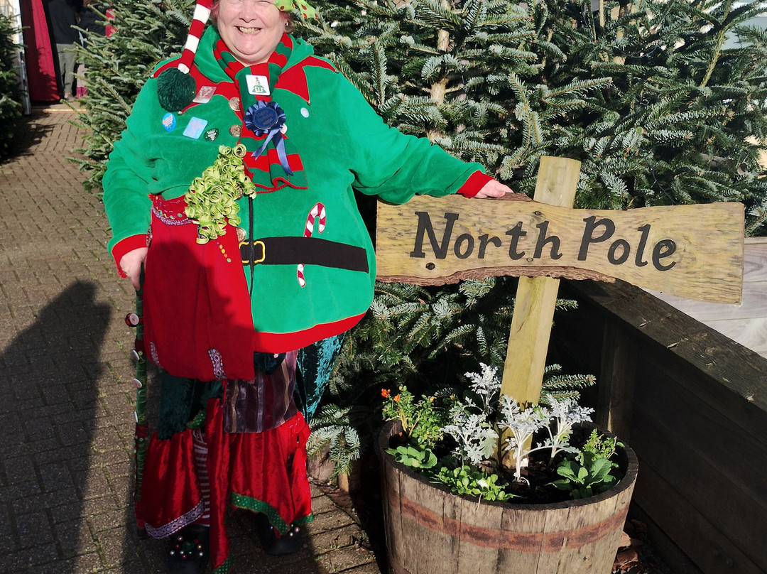 Pennywell Farm-Buckfastleigh必去景点