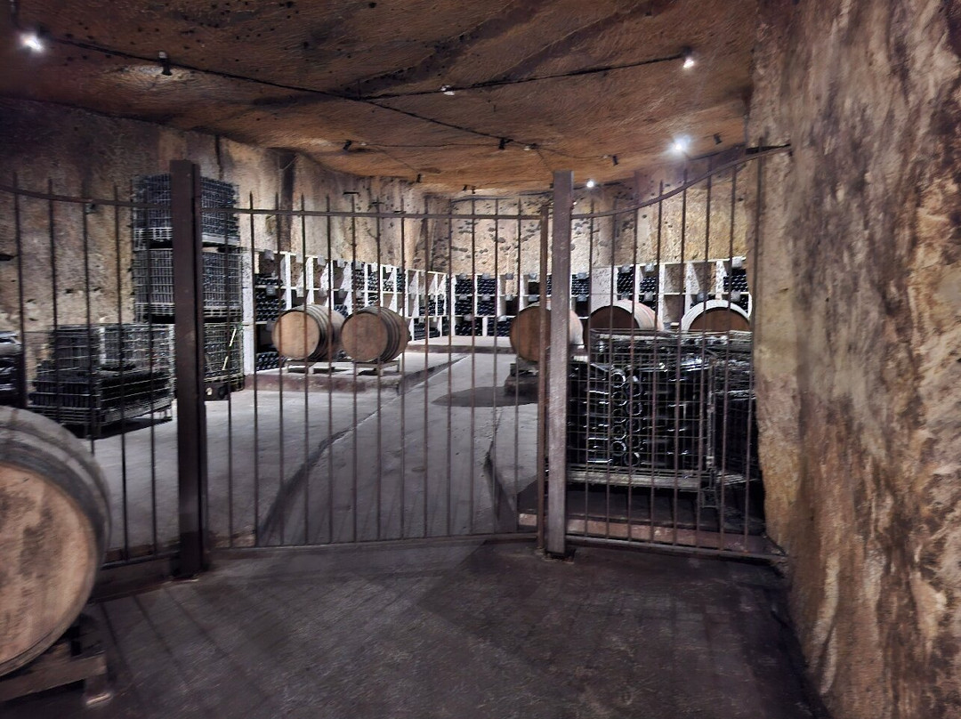 Caves Plouzeau-希农必去景点