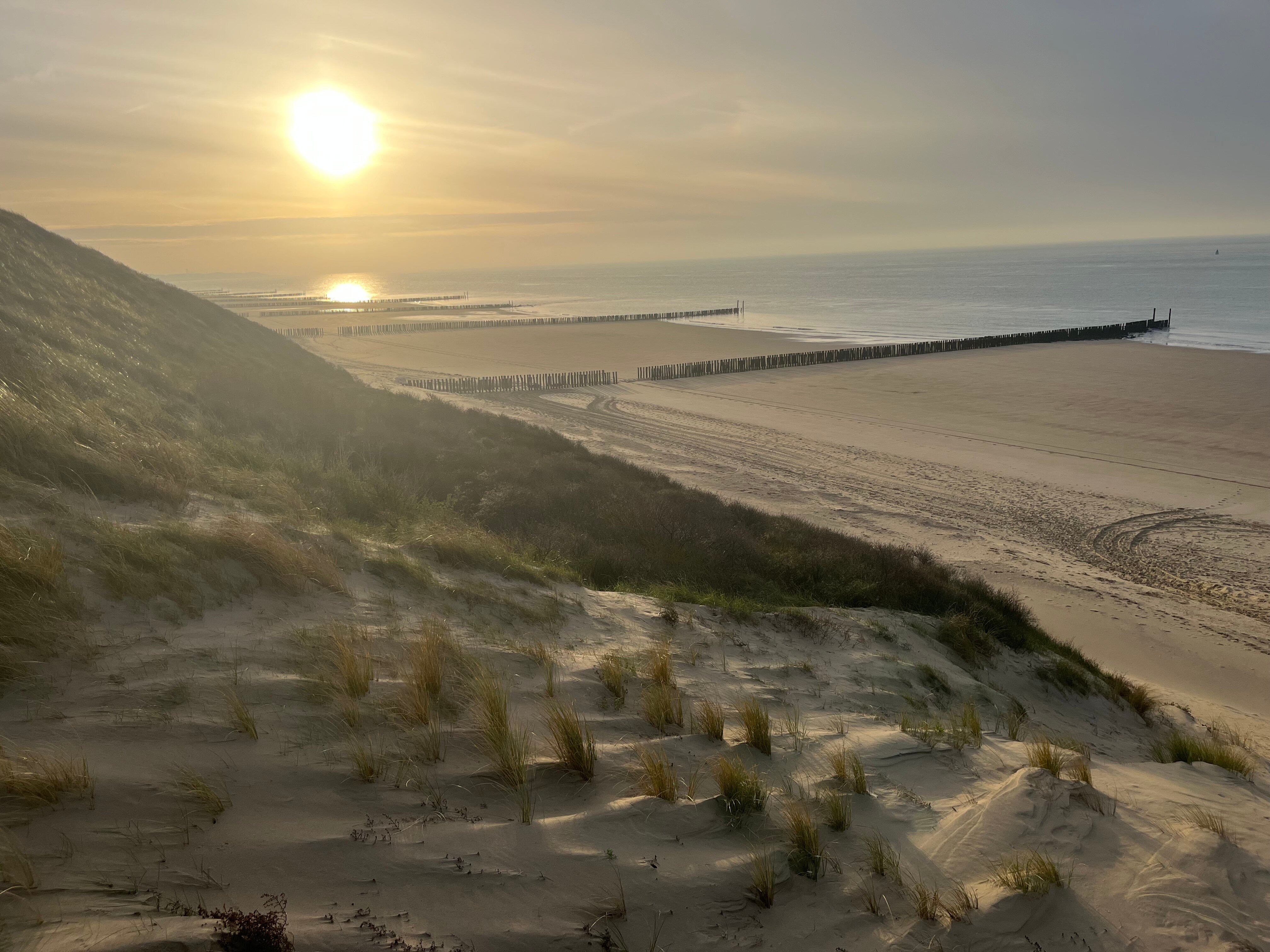 弗莱彻酒店-泳池