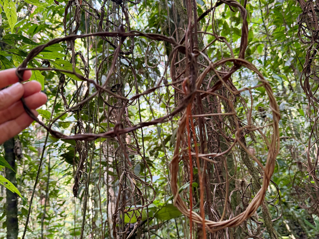 El Palacio del Barbas-Filandia必去景点