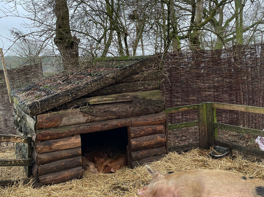 Piglets Adventure Farm-约克必去景点