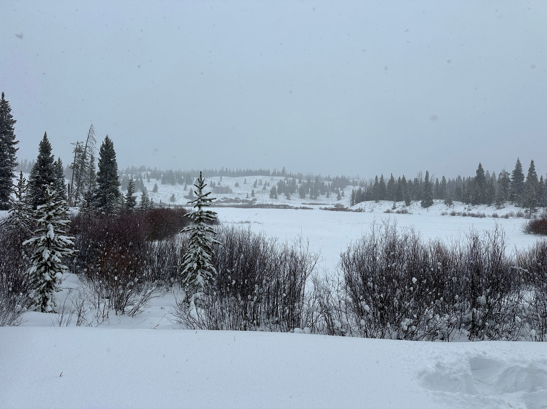 Old Faithful Snowmobile Tours - Day Tours-杰克逊必去景点
