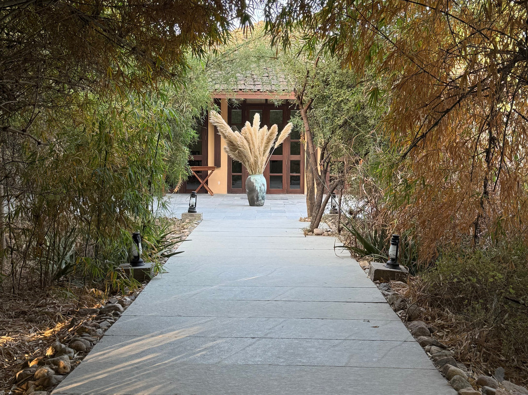 Bijapur Lodge Jawai主图