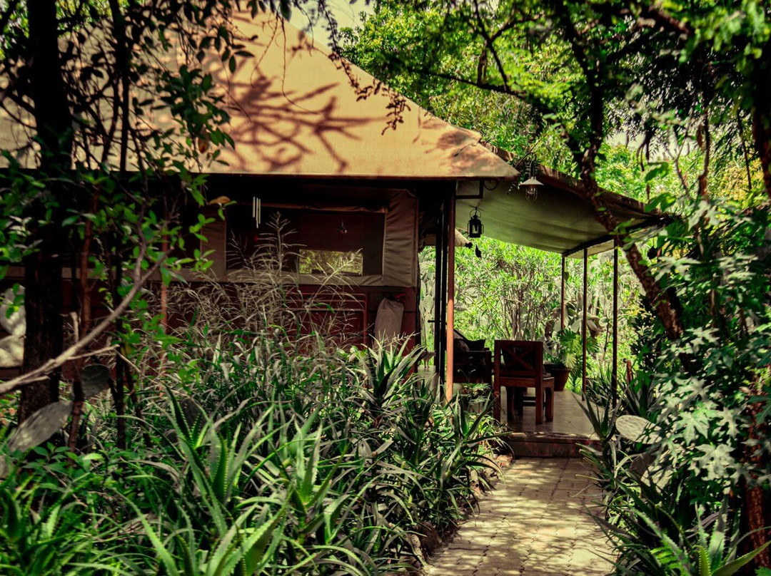 爱威塔野生动物园营地酒店主图