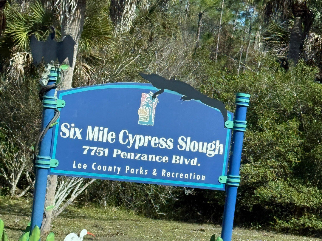 Six Mile Cypress Slough Preserve-迈尔斯堡必去景点