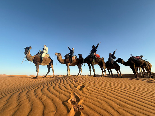 Sahara Unlimited Morocco Tours-马拉喀什必去景点