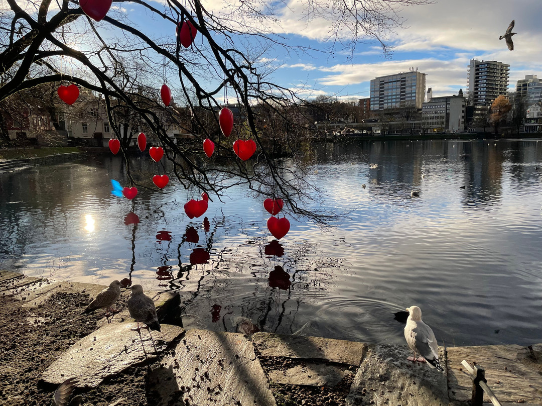 Breiavatnet-斯塔万格必去景点