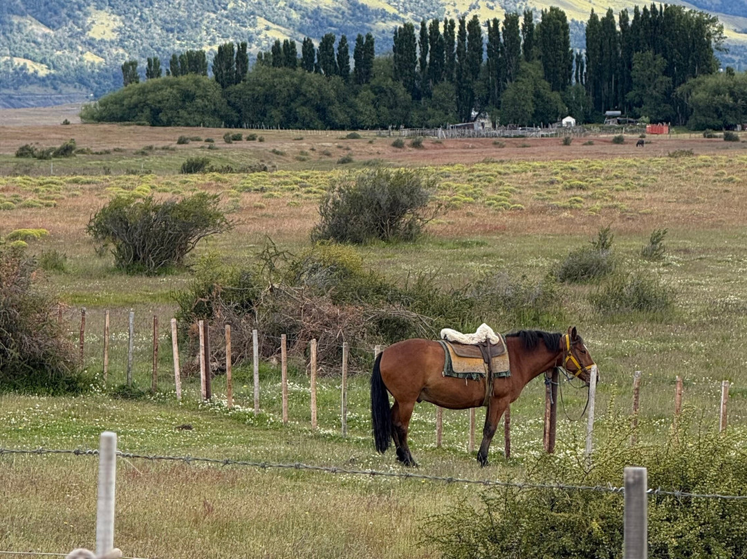 Cabalgata del Glaciar-埃尔卡拉法特必去景点