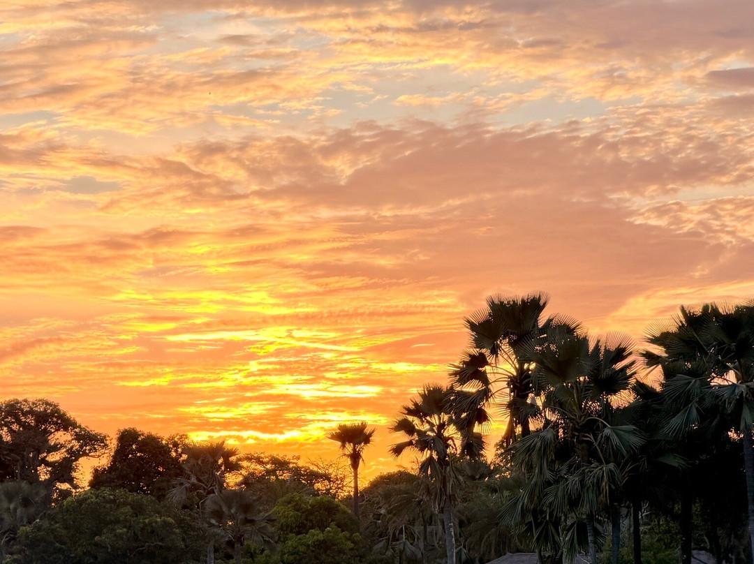 Terre Kassoumay-Oussouye必去景点