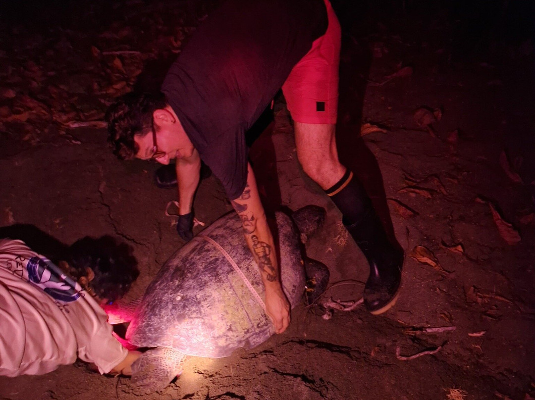 Osa Conservation Campus-希门尼斯港必去景点