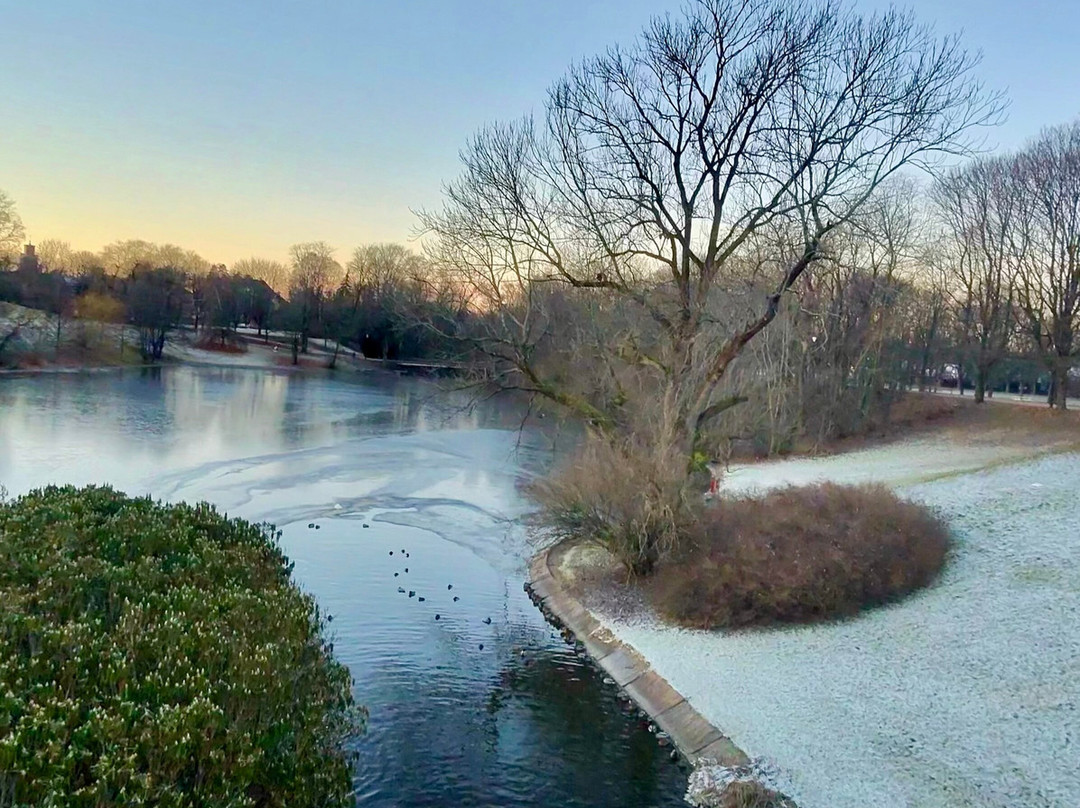 Oslo Running Tours-奥斯陆必去景点