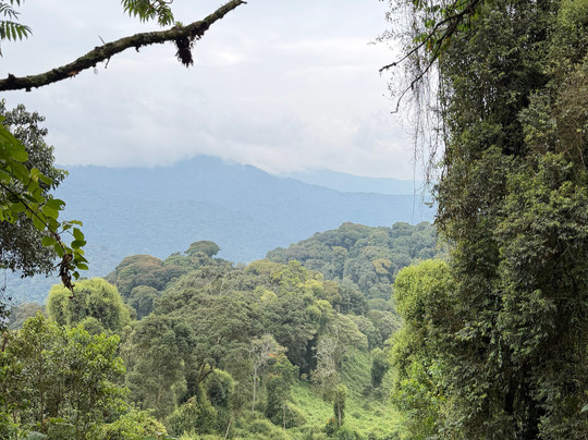 Africa Adventure Safaris-坎帕拉必去景点