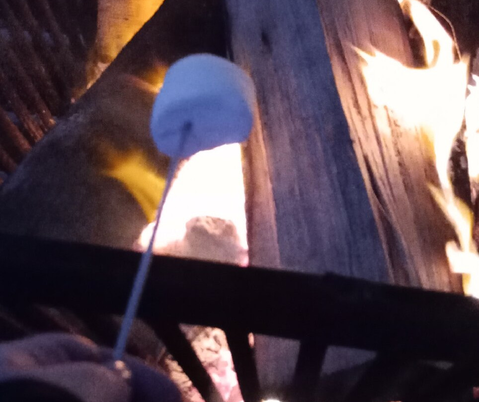 Blackgang Chine-文特诺必去景点