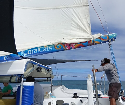 Coral Cats双体船出海一日游-丹娜努岛必去景点