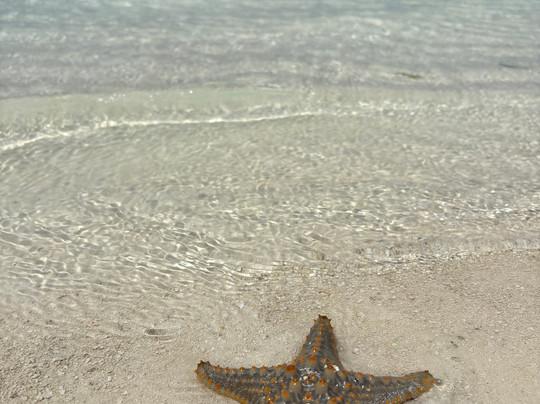 Emerald Bay Resort主图